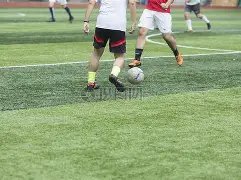 开云平台,资讯,开云体育,开云体育,开云体育官网,开云体育app,开云体育平台,KAIYUN,SPORTS,kaiyun登录入口