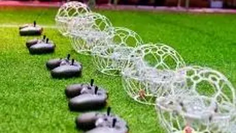 万人共聚青春盛宴，巨星演唱会点燃安逸之夜→