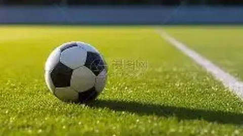 开云平台 资讯 135631 aaa