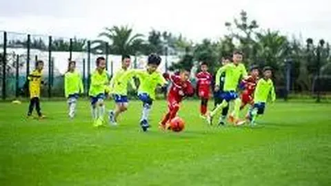 开云平台 产品 135631 lft