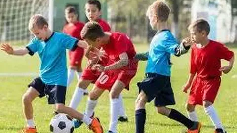 开云平台 资讯 140318 817